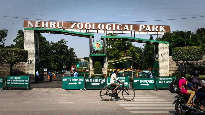 nehru-zoological-park